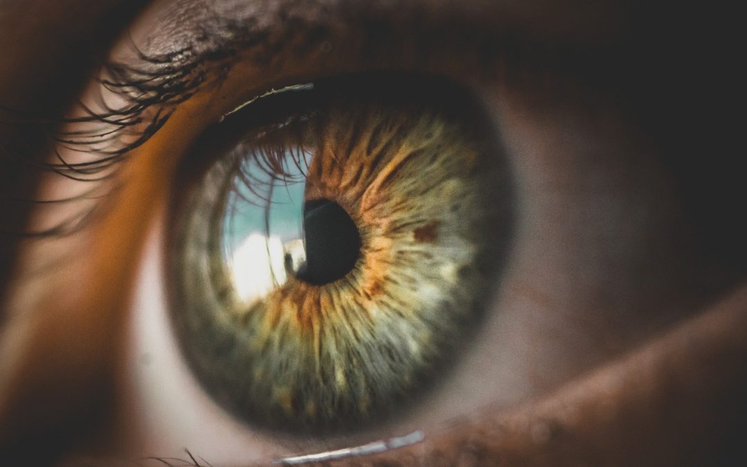 Is Myopia Control a Good Fit for Your Practice